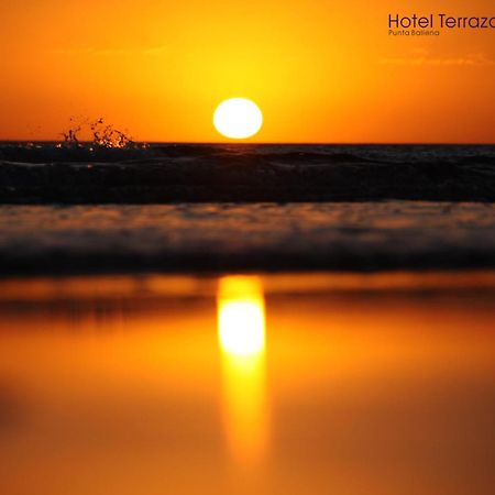 Hotel Terraza Del Mar Punta Ballena Dış mekan fotoğraf