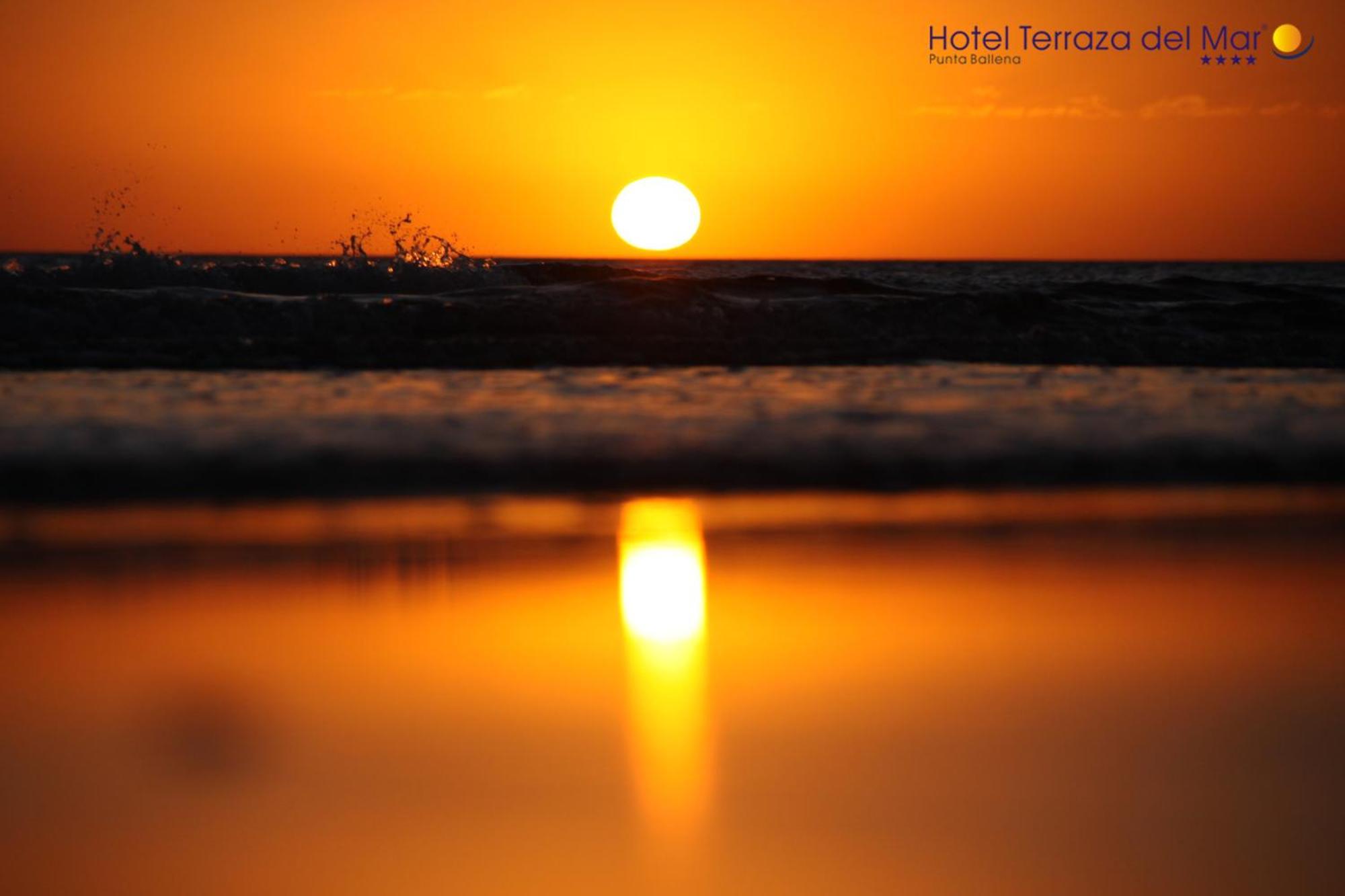 Hotel Terraza Del Mar Punta Ballena Dış mekan fotoğraf